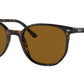 Elliot RB2197 902/33 havana