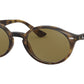 RB4315 710/73 tortoise