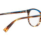 3069 001 tortoise