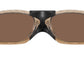 Plantaris SQ OO9529 07