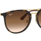 RB4285 tortoise and brown