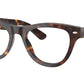RB5510 Optics 2012