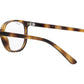 RY9097V 3685 Tortoise