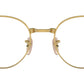 RB3691V Optics 3122