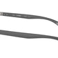 RB3736CH 004/A1 Gunmetal