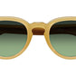 Maydela Sun Goldenrod