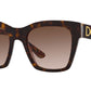 DG 4384 321773 Tortoise Brown