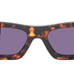 PR A01S 14O50B Tortoise