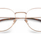 2009T DDB Gold Copper