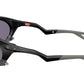 Plantaris OO9437 01