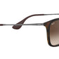 Chris RB4187 tortoise