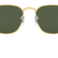 Frank RB3857 919631 legend gold