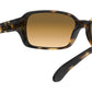 RB4068 tortoise