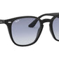 RB4258F 601/19 black