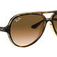 Cats 5000 Classic light havana