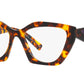 PR 09YV VAU1O1 honey tortoise