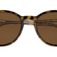 RB2204 139357 Havana Clear