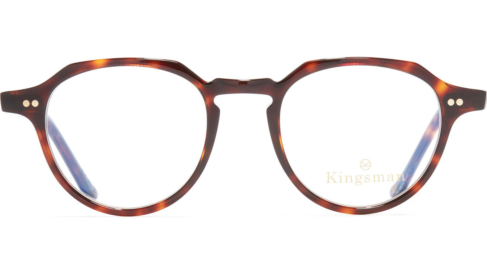 1313 Optical 02