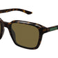 GG2078S 002