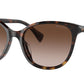 RA5282U 500313 Havana Brown
