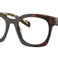 PR A05V 17N1O1 Tortoise