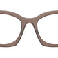 PR A05V 17O1O1 Brown