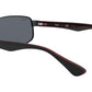 RB3445 RB3445 006/P2 matte black