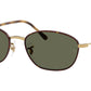 RB3749 927358 Tortoise
