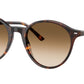 Bernard RB2230 902/51 Havana