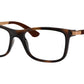 RY1549 3785 Tortoise
