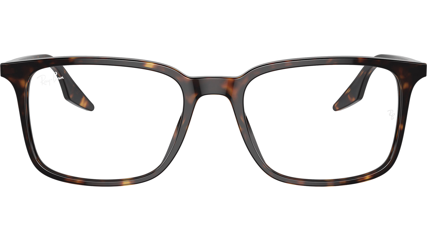 RB5421 Optics 2012