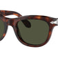 PO0086S 24/31 Tortoise