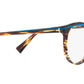 3069 001 tortoise