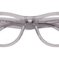 RB5510 Optics 2102