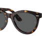 Wayfarer Way RB2241 902/B1 Tortoise