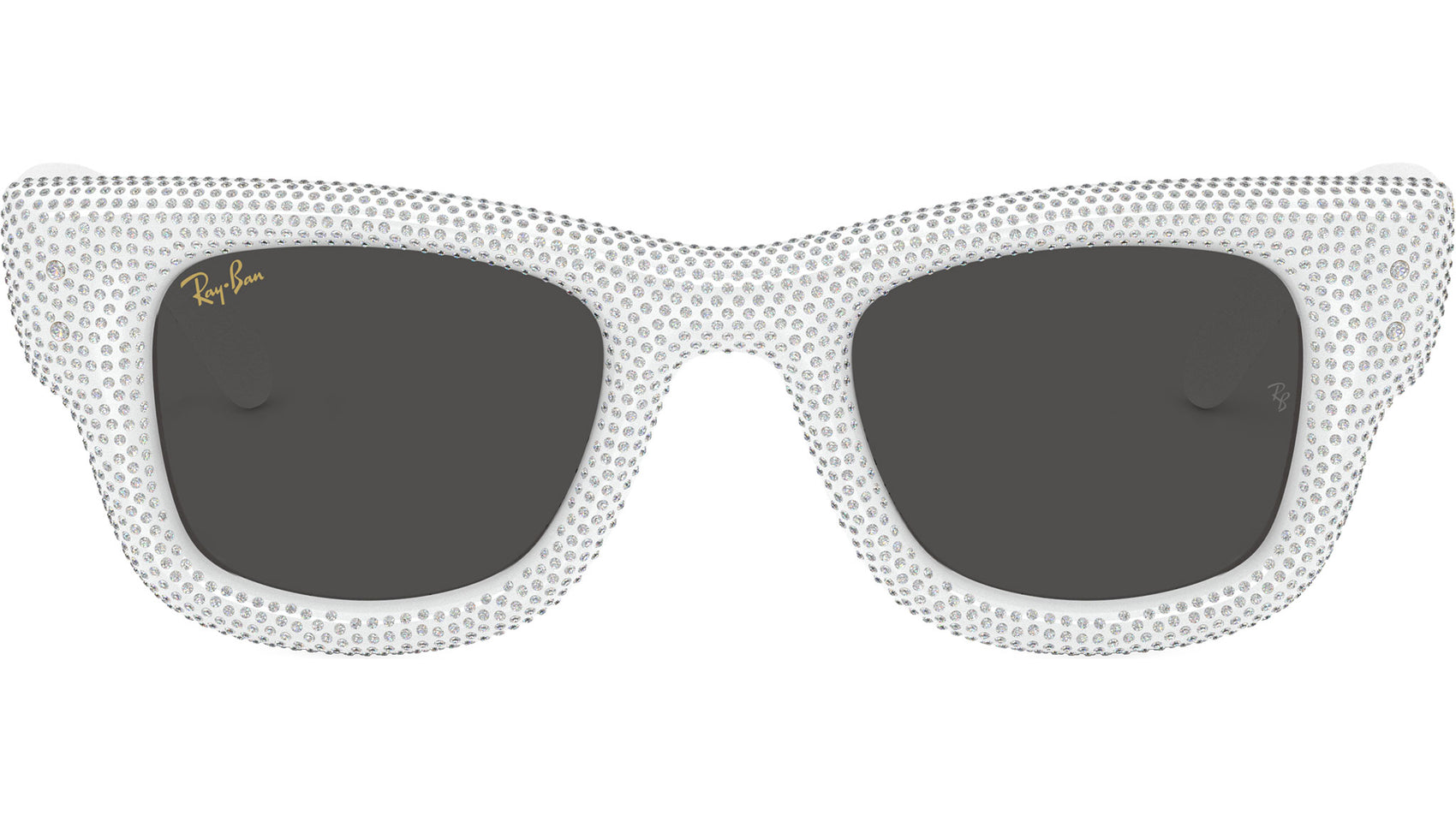 Wayfarer Puffer RB4940BP 686687