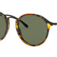 Round RB2447 1157 spotted black havana