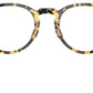 Orrison OV5544 1778 Tokyo Tortoise