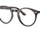 RY1594 3685 Tortoise