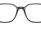 Leonard Optics RB5393 2000