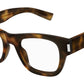 SL 698 003 Shiny Tortoise
