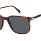 DB 1141/S EX4 IR Brown Horn