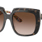 DG 4414 321713 Havana White Brown