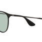 Erika Metal RB3539 002/Q5 black