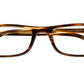 NEW MOON HVBE Tortoise