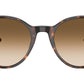 Bernard RB2230 902/51 Havana