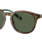 PH4206 50179A Brown Tortoise