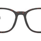 PR A15V 17N1O1 Tortoise
