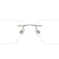 RB8781D Optics 1000