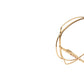 Route of The Sun Optical Gold